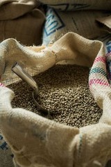 2 POUNDS green coffee beans – your choice of beans – MANY to choose from