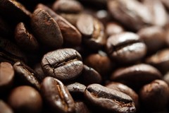2026 Florida Cracker – Cowboy Coffee – 1 bag Fresh Roasted Coffee