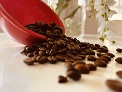 Guatemala Huehuetenango Roasted Coffee