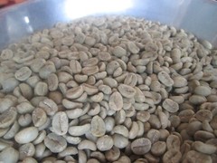 Organic Arabica Green Coffee Beans direct from the Malnad estates 100gms