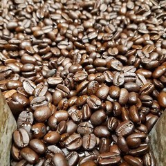 Cameron’s 32 Ounce Toasted Southern Pecan Blend Handcrafted Coffee Beans