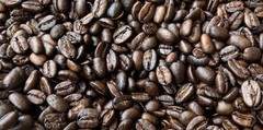 16oz Haiti Singing Rooster Zombie Coffee Fair trade small batch coffee Unique