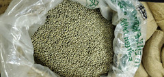 5 LB FRESH UNROASTED ZAMBIAN ZAMBIA PEABERRY GREEN COFFEE BEANS – ARABICA