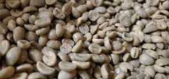 5 LB AFRICA RWANDA RWANDAN GREEN UNROASTED COFFEE BEANS FIVE POUND – ARABICA