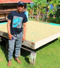 green coffee beans 5 pounds Colombian Anaerobic natural process.