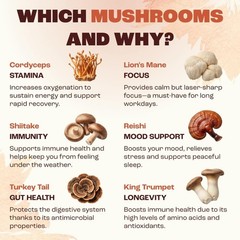Medium Roast Mushroom Coffee Starter Kit – Gluten-Free & Friendly