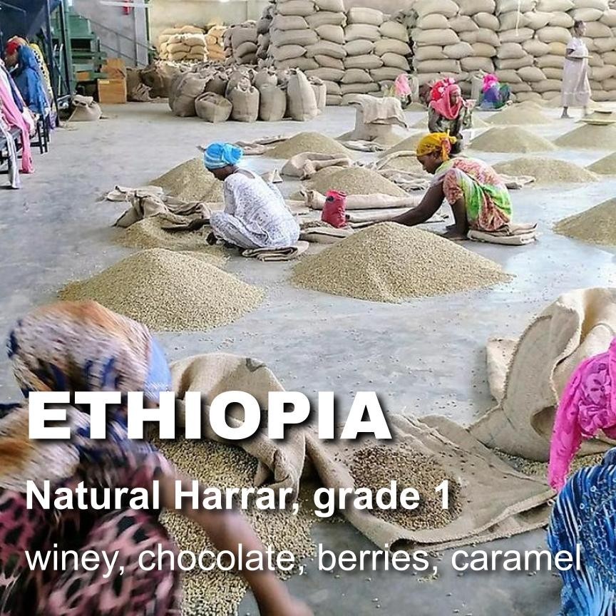 Ethiopia Harrar natural, unroasted green coffee, Grade 1, cooperative, 4lbs