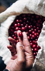 Ethical Bean Coffee Classic lush Medium total 4 lb ($0.92/Ounce)