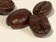2026 Caffe Siciliano – Fresh Roasted Espresso – 3 bags – Whole Bean Coffee