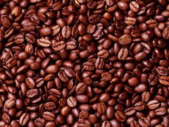 Lavanta Coffee Guatemala Antigua SHB Arabica Green or Roasted Coffee