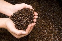 COSTA RICAN TARRAZU COFFEE BEANS DARK ROASTED 5 POUNDS