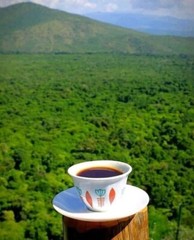Roasted Ethiopia Coffee ☕️ Kentucky USA 🇺🇸 Extra Micro