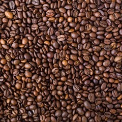 Coffee Beans / Haitian Blue Pine Central Plateau / 5 Pound / ROASTED