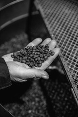 Crema Oro Italian Whole Espresso Beans – Medium Roast Coffee – Smooth & Aroma…