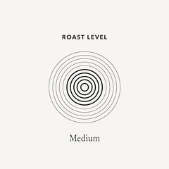 Whole Bean Coffee Costa Rica Medium Roast 2.5lb Single Origin Fresh Roasted