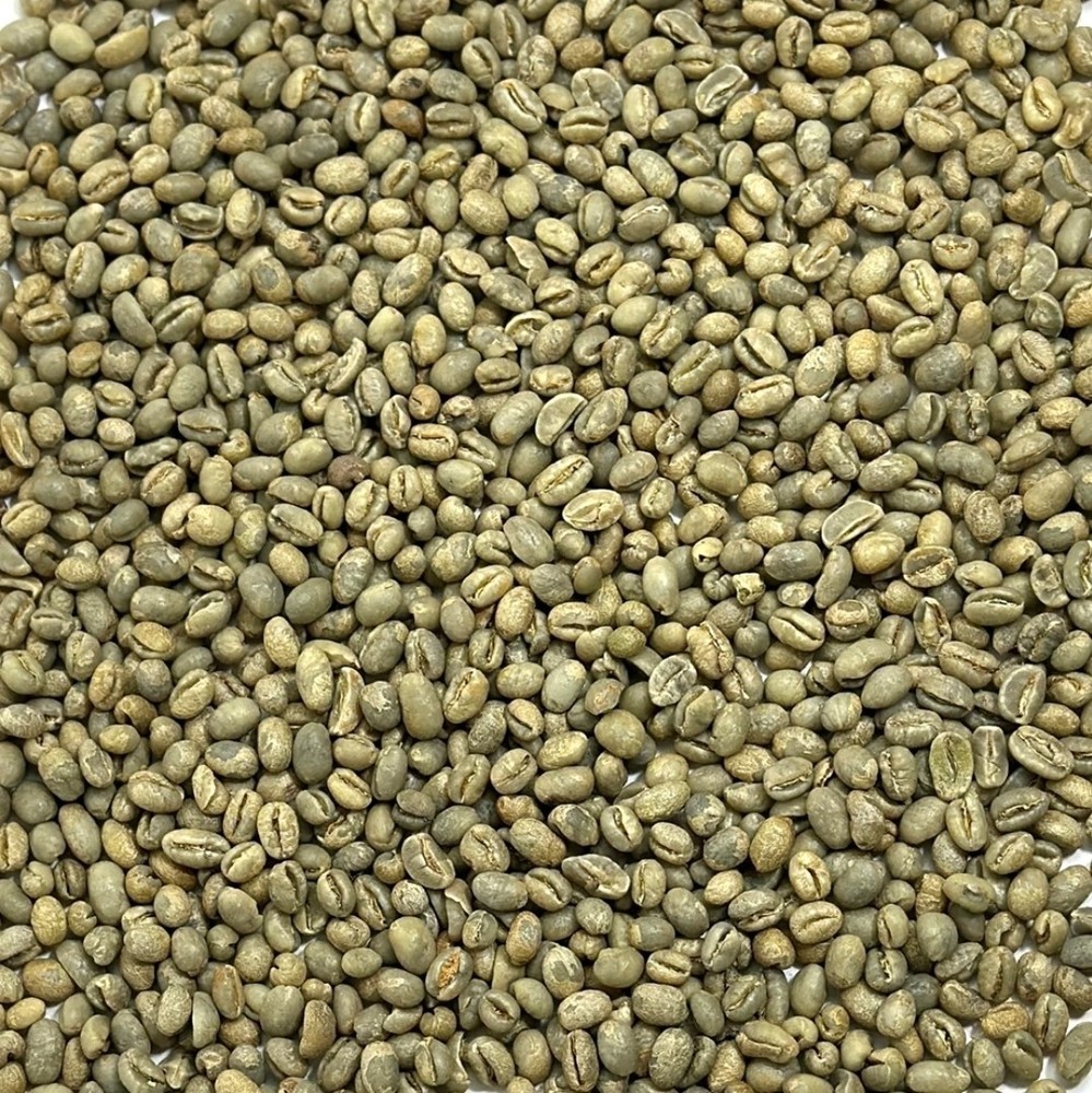 Green Coffee Beans /Tanzanian Peaberry Kilimanjaro/ 10 Pound / UNROASTED