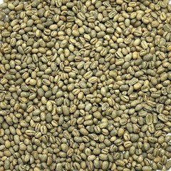 Green Coffee Beans /Tanzanian Peaberry Kilimanjaro/ 1 Pound / UNROASTED