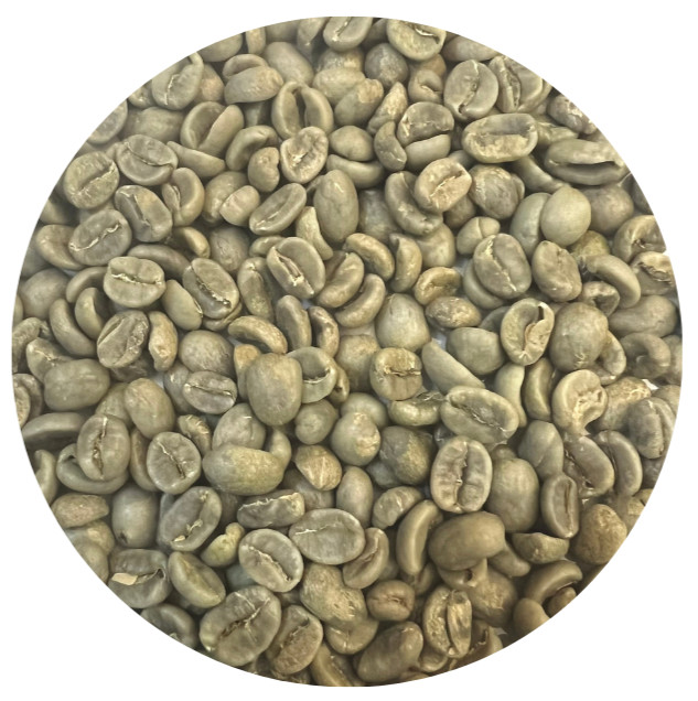Unroasted Coffee Bean -5lb Single Origin – Costa Rica Las Trojas Superior SHB EB