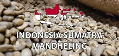 5 LB INDONESIA SUMATRA MANDHELING UNROASTED GREEN COFFEE BEANS – ARABICA