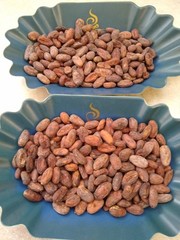 3lbs Bolivia Heirloom Certified-Organic Unroasted Cacao Beans. NEW CROP!