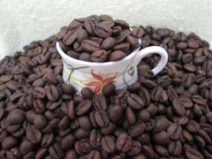 Arabica Medium roast Roasted coffee beans 1000gms