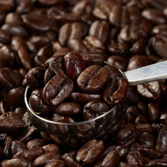 Kirkland Signature Colombian Supremo Whole Bean Coffee Medium Roast Caffeinated