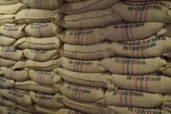 Colombia Supremo Fresh Roasted Arabica Coffee Beans – 2, 5, and 10 lb Sizes