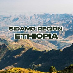 Ethiopia Natural Kaffa Bun – Specialty Organic – Single Origin – Med-Dark Roast