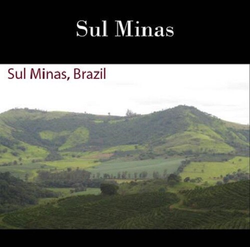 66 lbs BRAZIL SUL MINAS NATURAL PROCESS (AAA) GREEN COFFEE BEANS $79 SHIPPING