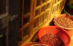 8oz/5lb – Sumantra – Indonesia – Premium Fresh Roasted To Order Coffee