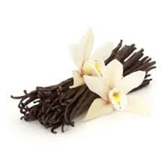 Vanilla Almond Whole Bean 10oz Dessert Coffee Fresh Roasted Medium Bold