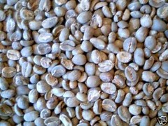 Lavanta Coffee Guatemala Antigua SHB Arabica Green or Roasted Coffee