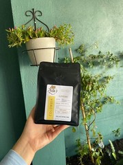 Colombian Supremo Coffee Beans Fresh Medium Roasted 12 oz.