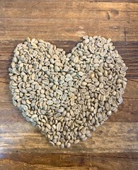 Organic green coffee beans ethiopia Sidama washed process 10 pounds.