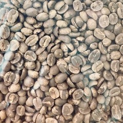 SINGLE ESTATE – COLOMBIAN GREEN COFFEE BEANS – 1 LB CATURRA, ARABICA