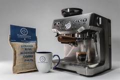 100% Pure Jamaican Blue Mountain Coffee – Gold 16oz – Grade I