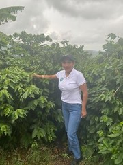 Kenya Karani Peaberry Coffee Beans Fresh Roasted Medium Daily 5 X 1 Pound Bags