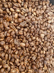 Ethiopia Guji Benti Nenka coffee: Fresh Roasted Beans, single-origin, 200g