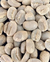 SINGLE ESTATE – COLOMBIAN GREEN COFFEE BEANS – 1 LB CATURRA, ARABICA