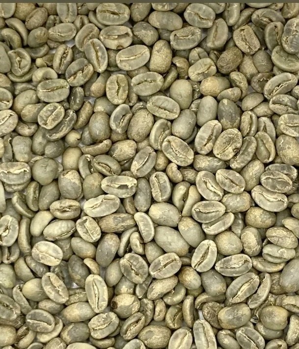 Green Coffee Beans / Nicaraguan San Juan del Rio Coco / 5 Pound / UNROASTED