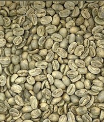 Green Coffee Beans / Nicaraguan San Juan del Rio Coco / 5 Pound / UNROASTED