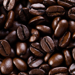 COSTA RICAN TARRAZU COFFEE BEANS DARK ROASTED 5 POUNDS