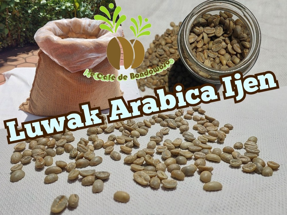 10 lb, le Cafe de Bondowoso – Kopi Luwak / Civet CoffeeArabica Bean