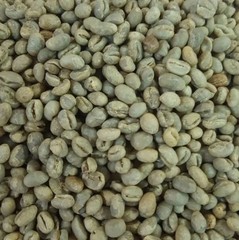 100 Percent Peaberry Jamaica Blue Mountain Unroasted Green Coffee Beans Bulk