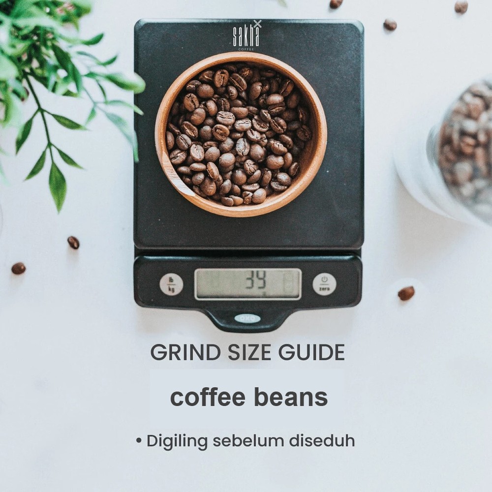 Arabica Coffee Gayo Wine Arabica Coffee 200gr Roastery Manual Brew Coffee Beans
