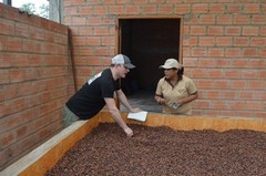 3lbs Bolivia Organic-certfied, Improved Walikeewa Unroasted Cacao Beans NEW CROP