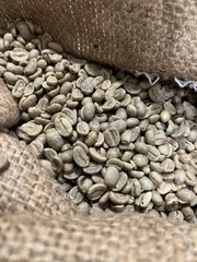 Gautemala green coffee beans 4lbs