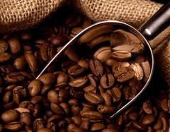 Lacas Coffee Original City Roast Whole Bean 5 lbs. Fresh Roasted