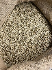 5 LB FRESH UNROASTED EL SALVADOR GREEN COFFEE BEANS FIVE POUND – ARABICA