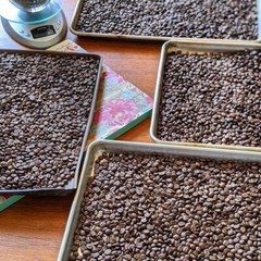 Mountain Berry Kitchen – Roasted Coffee – Arabica Beans Roasted Fresh 10 Oz bag.